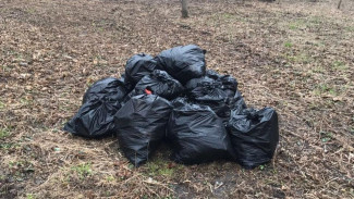 Региональный оператор Севера напоминает, кто должен вывозить  отходы после субботников