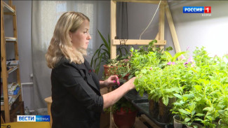 «Зелёное хобби» мамы-предпринимателя Ирины Юркиной