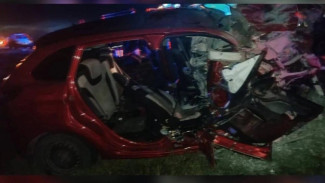 В смертельном ДТП в Рязанской области погибли жители Коми