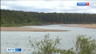 Уровень воды в реке Вычегда у Сыктывкара снизился до опасного значения