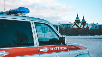 В Коми росгвардейцы выезжали по сигналам «тревога», сработавшим в  квартирах Вуктыла и Прилузского района