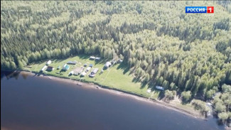 Жителей Коми приглашают принять участие в экологическом диктанте «ЭкоТолк»