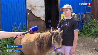  Работа и награда: сотрудники конного центра "Аврора" придумали социальный проект для школьников