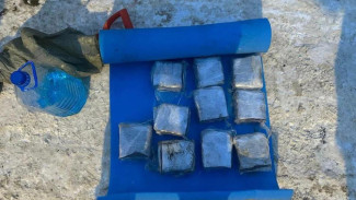 Следственным подразделением УФСБ России по Республике Коми возбуждено уголовное дело в отношении жителя Московской области, причастного к покушению на незаконный сбыт наркотических средств 