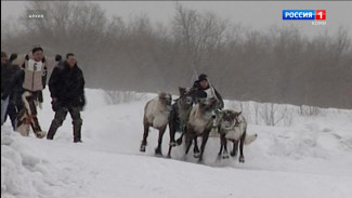 Завтра в Инте состоится праздник оленеводов «Тэрыб кöр»