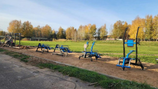 В селе Выльгорт Сыктывдинского района продолжаются работы по созданию площадки ГТО