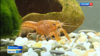 В Республиканском центре экологического образования открылось новое направление - аквариумистика 