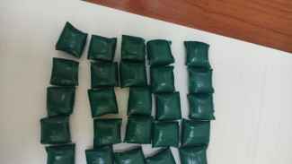 Следственным подразделением УФСБ России по Республике Коми возбуждены уголовные дела в отношении двух граждан одной из стран ближнего зарубежья, причастных на незаконный сбыт наркотических средств