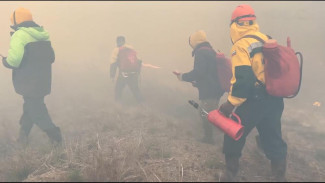 В Коми идёт набор добровольцев для тушения лесных пожаров