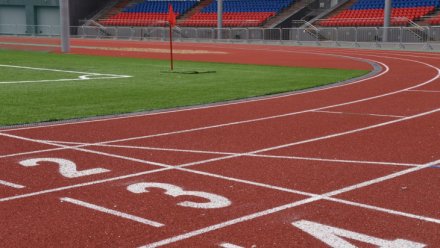 Одаренные спортсмены Коми получили выплаты за высокие достижения