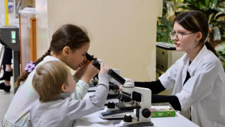 В Сыктывкаре завершена реализация нескольких народных проектов в сфере образования