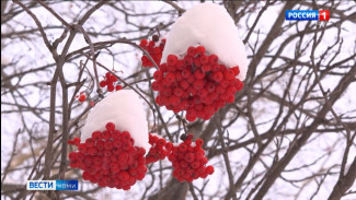 Какая погода ждёт нас на следующей неделе