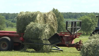 Кормозаготовительная кампания в Республике Коми близится к завершению