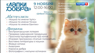 В Сыктывкаре пройдёт благотворительная акция «Лапки добра»