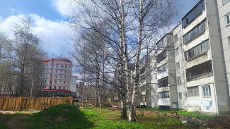 На территории Яблоневой аллеи в Сыктывкаре приостановлены работы по вырубке деревьев