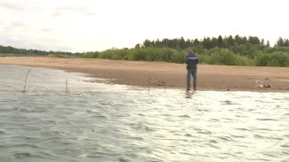 На реке Печора в границах Коми установлен запрет на вылов семги