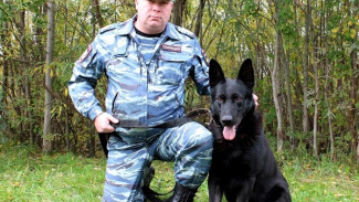 Четвероногий напарник полицейского помог спасти потерявшегося в лесу человека 