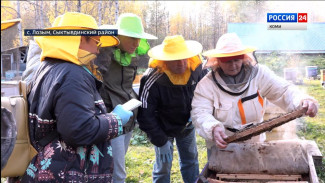В Коми работает "Школа фермера"