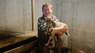 Глава крестьянско-фермерского хозяйства Татьяна Морозова: "Кто понял вкус козьего молока, тот полюбил его навсегда"