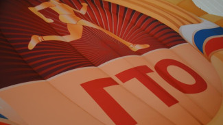 В Минспорта Коми определили три лучших муниципалитета в реализации комплекса ГТО