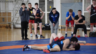 Восемь золотых медалей в копилке сборной Коми на соревнованиях по греко-римской борьбе