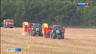 Какой был 2024 год для аграриев Коми