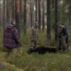 Минприроды Коми вынесло официальное решение о регулировании численности медведей в Усть-Куломском районе