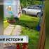 У жителей Ухты по соседству поселилась семья уток