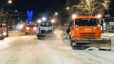 За ночь из Сыктывкара вывезено 430 кубометров снега