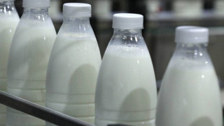 В Коми увеличилось производство мяса и молока