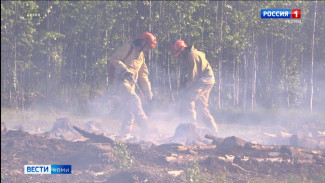 Высокая и чрезвычайно высокая пожарная опасность на севере Коми  ожидается в июне, на северо-востоке –  в июле и  августе