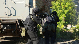 Спецслужбы Коми пресекли планы условных террористов