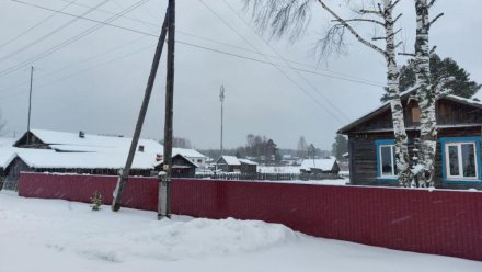 Деревня Денисовка лидирует в голосовании за подключение к интернету