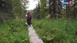 Жители Коми могут пройти онлайн-курс по созданию развитию туристических троп в России