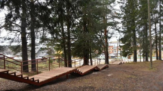 В Койгородском районе будет благоустроена парковая зона