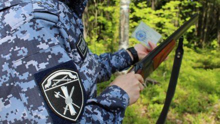 В Коми за неделю росгвардейцами изъята 21 единица охотничьего оружия