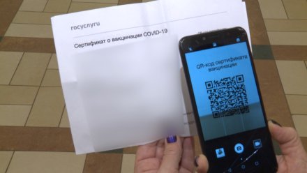 С 21 февраля в Коми появится возможность получить QR-код по тесту на антитела