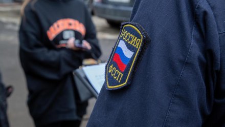 Судебные приставы взыскали с жительницы Сыктывкара 3,5 млн рублей за коррупционное преступление