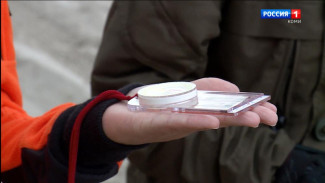 Поисково-спасательному отряду «ЛизаАлерт» нужны добровольцы в каждом районе Республики Коми