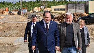 «Важен для всей республики»: Ростислав Гольдштейн оценил инвестпроект ООО «Печора Север Лес»