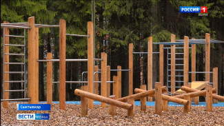 Ростислав Гольдштейн поручил разобраться в ситуациях с подтоплением территорий физкультурно-оздоровительного комплекса в Троицко-Печорске и Беличьего парка в Сыктывкаре