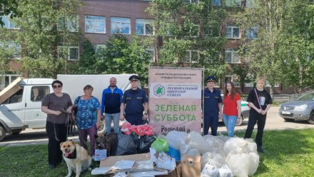 В Ухте «Зеленая Суббота» объединила экоактивистов и волонтеров,  помогающих бездомным животным