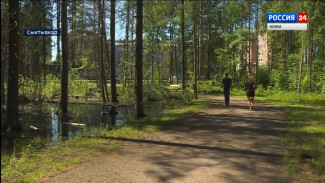 Ростислав Гольдштейн поручил осушить проблемные места отдыха в республике