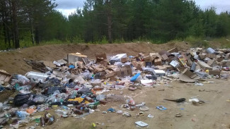 Прокуратура Вуктыла добилась ликвидации несанкционированной свалки