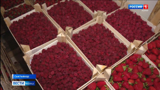 В республику привезли 43 тонны ягод и фруктов из Киргизии