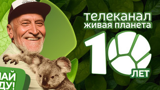 "Включай природу!": телеканал "Живая Планета" отмечает 10 лет в эфире