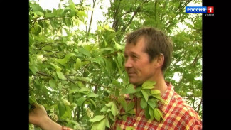 «Олӧм-вылӧм». История телефильма «Уляшевы»