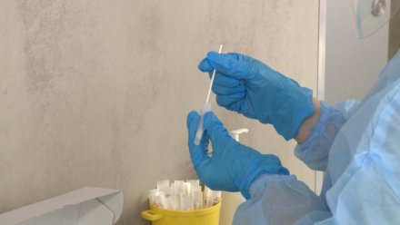 В Коми зафиксированы первые летальные случаи среди больных свиным гриппом 