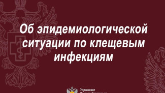 Управление Роспотребнадзора по Республике Коми информирует о повышении активности клещей в регионе за прошедшую неделю