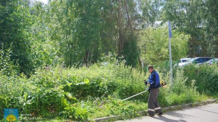 В Сыктывкаре за нескошенные территории грозит штраф